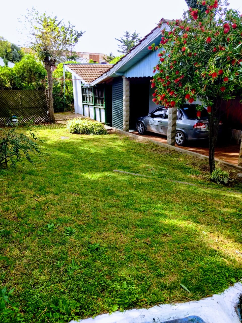 WhatsApp Image 2025-05-16 at 15.49.13.jpeg